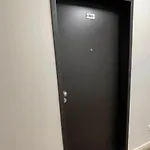 Dvorak Otel