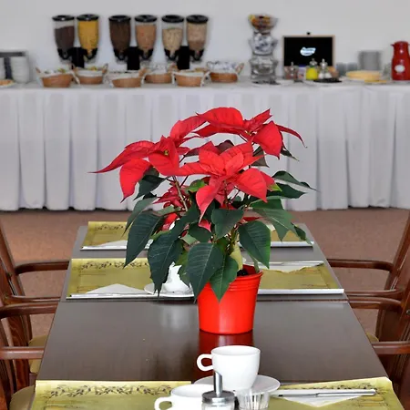 Dvorak Ceske Budejovice