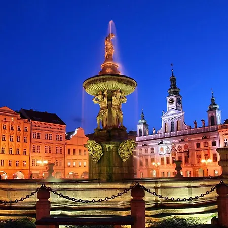 Dvorak מלון צ'סקה בודיוביצה