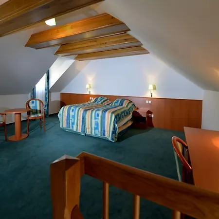 Dvorak Hotel 4*