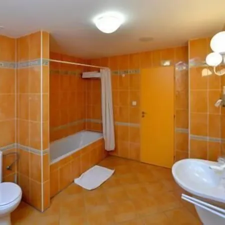 Dvorak Szálloda České Budějovice