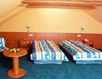 Dvorak Czeskie Budziejowice