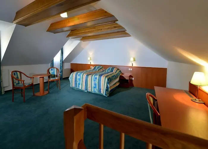 Dvorak Hotel 4*